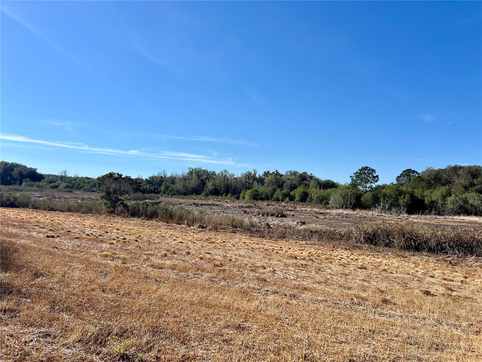 Image 9 of 64 For Forest 02 Road