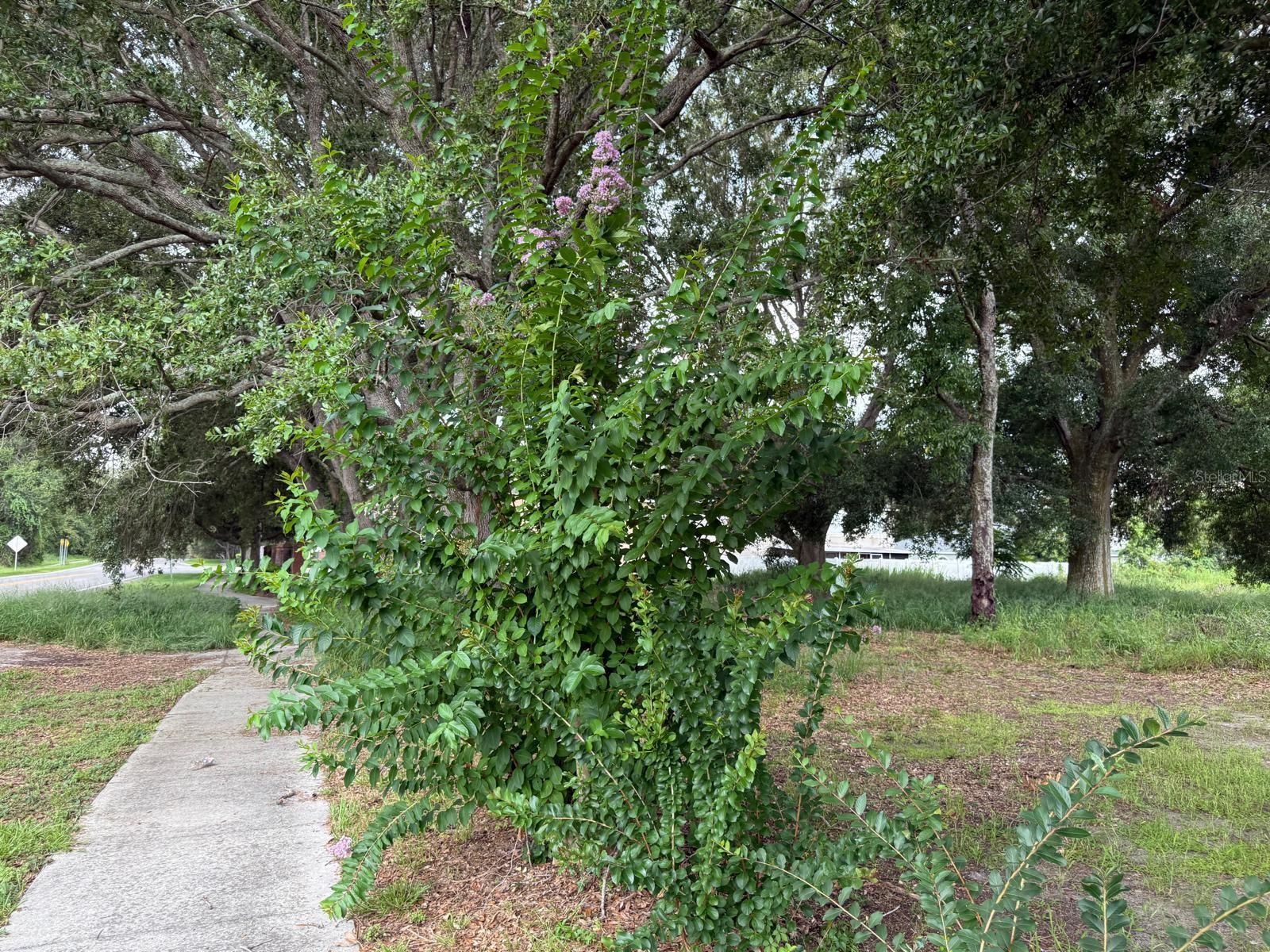 Image 5 of 74 For Address Not Provided