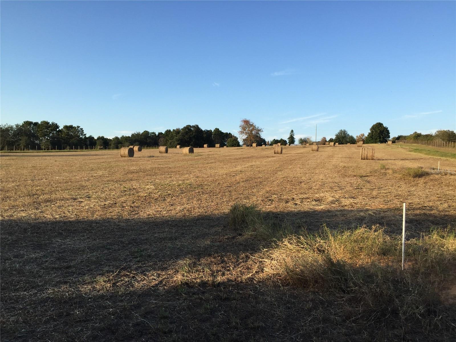 Image 57 of 63 For 22435 County Road 455