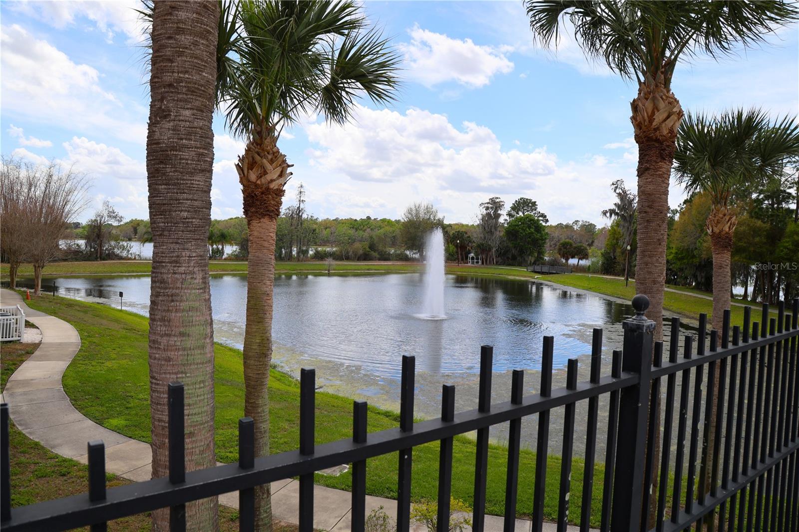 Image 45 of 47 For 3344 Corona Village Way 102