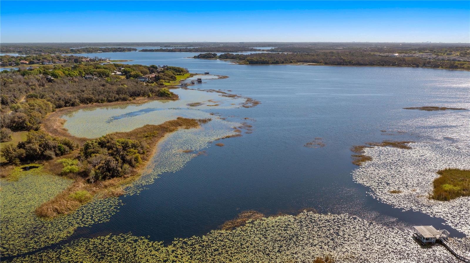 Image 8 of 26 For Marigold Belle Circle