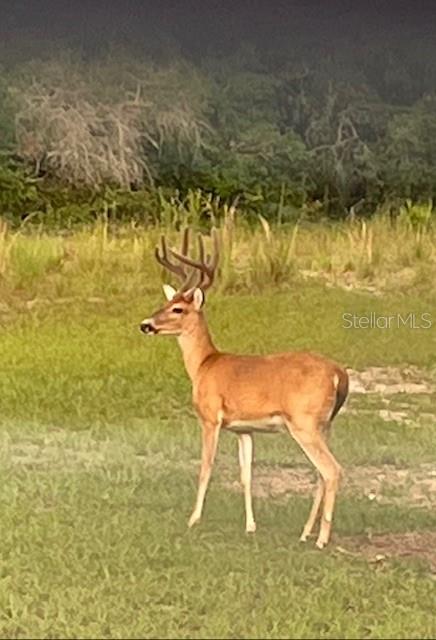 Image 52 of 55 For 14020 106th Street