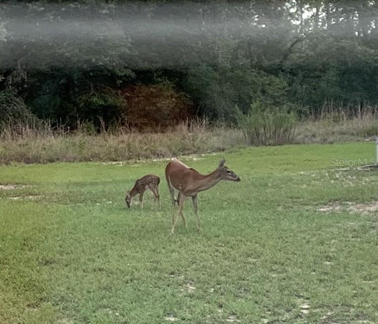 Image 53 of 55 For 14020 106th Street