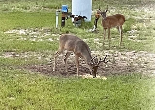 Image 54 of 55 For 14020 106th Street