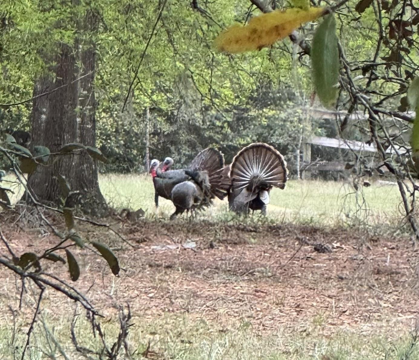 Image 55 of 55 For 14020 106th Street