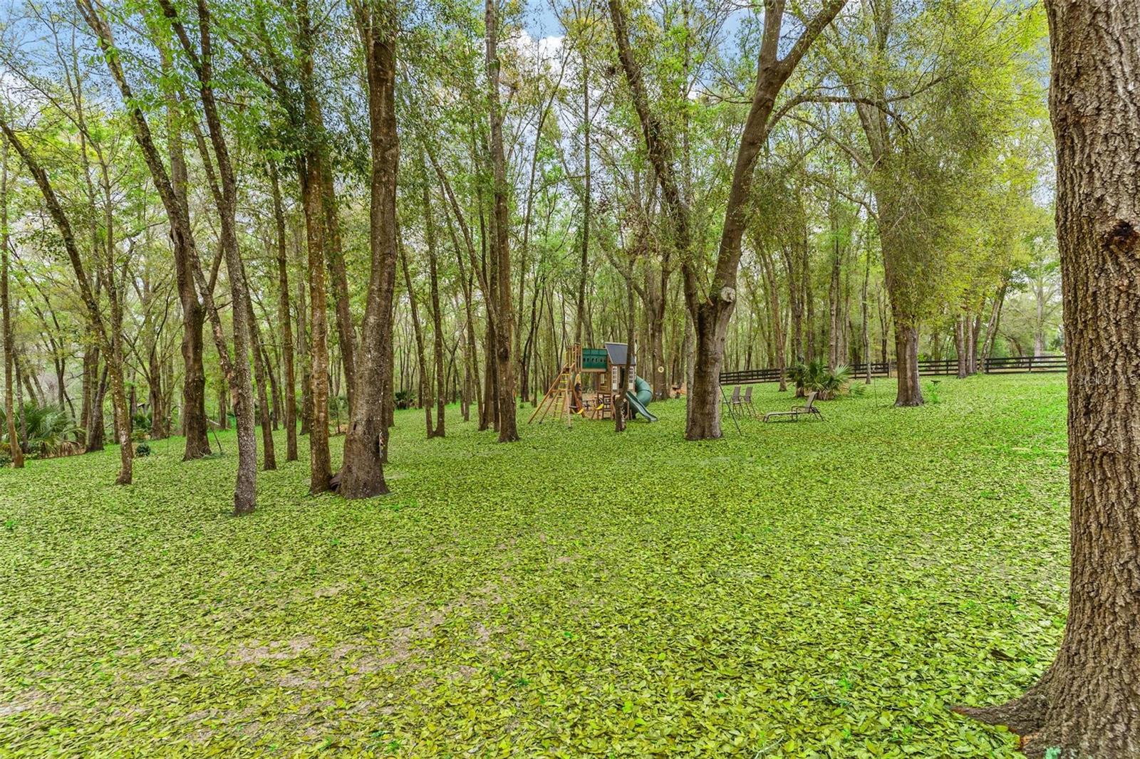 Image 70 of 83 For 35629 Seneca Reserve Drive