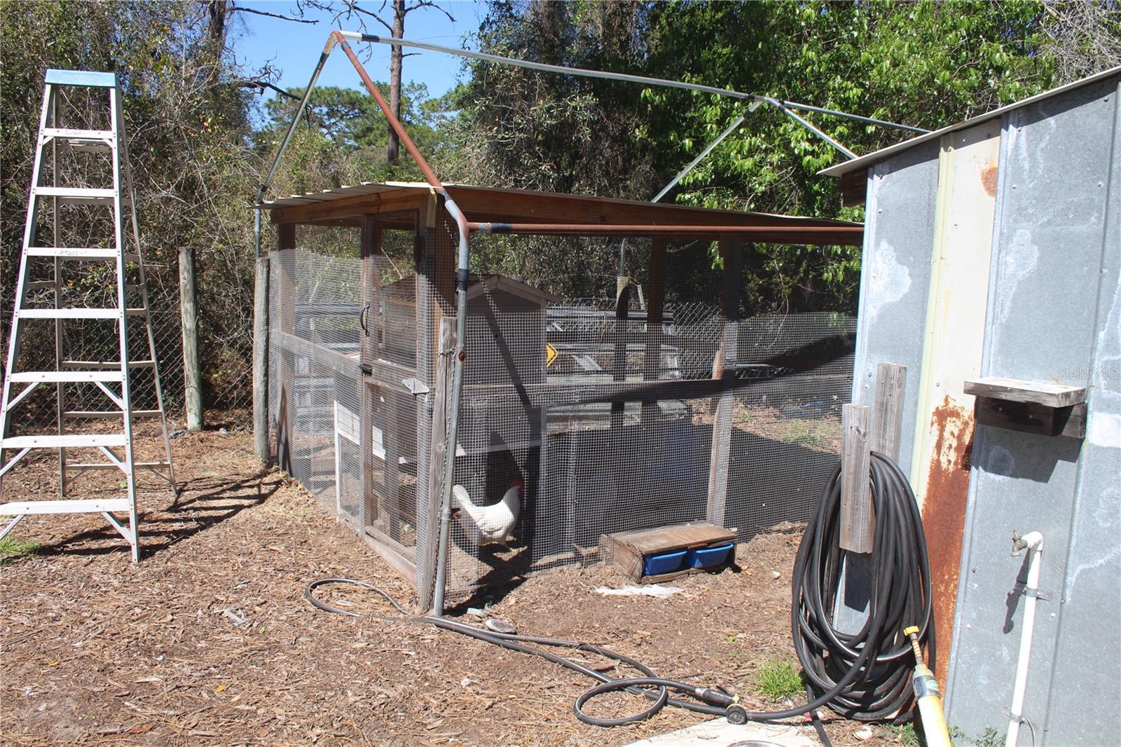 Image 27 of 56 For 24427 Wild Turkey Road