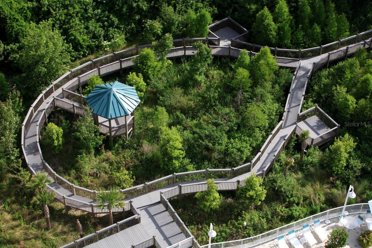 Image 13 of 15 For 13427 Blue Heron Beach Drive 406