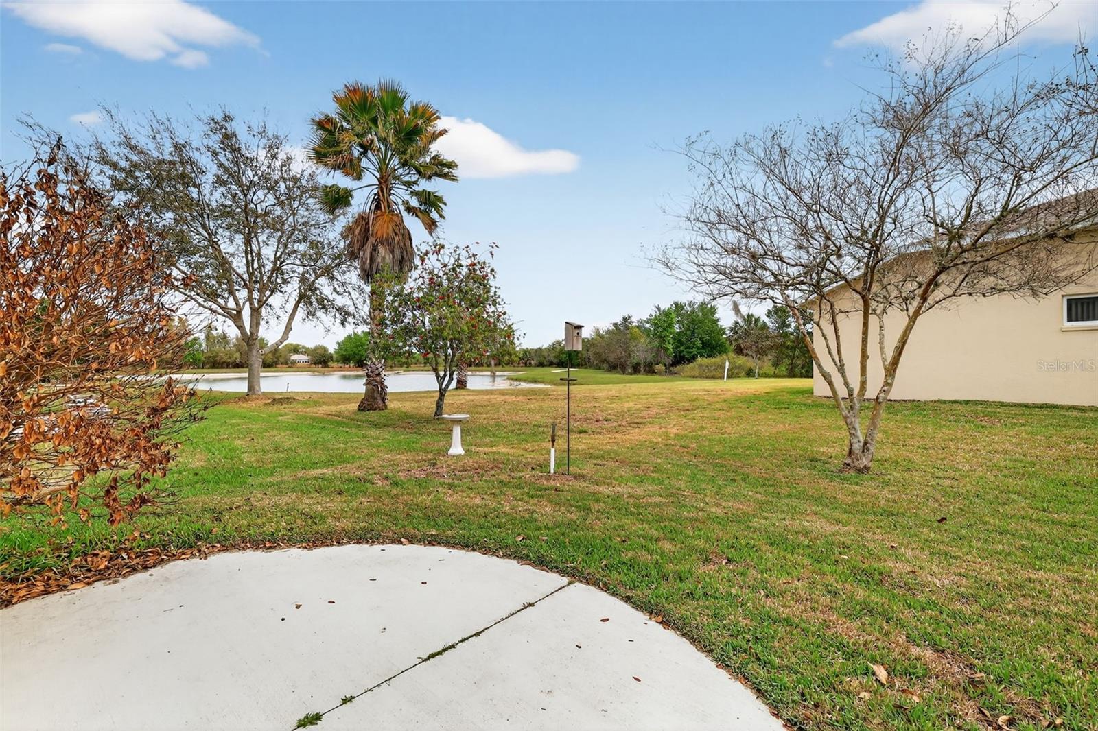 Image 31 of 40 For 27106 Greenfly Orchid Lane