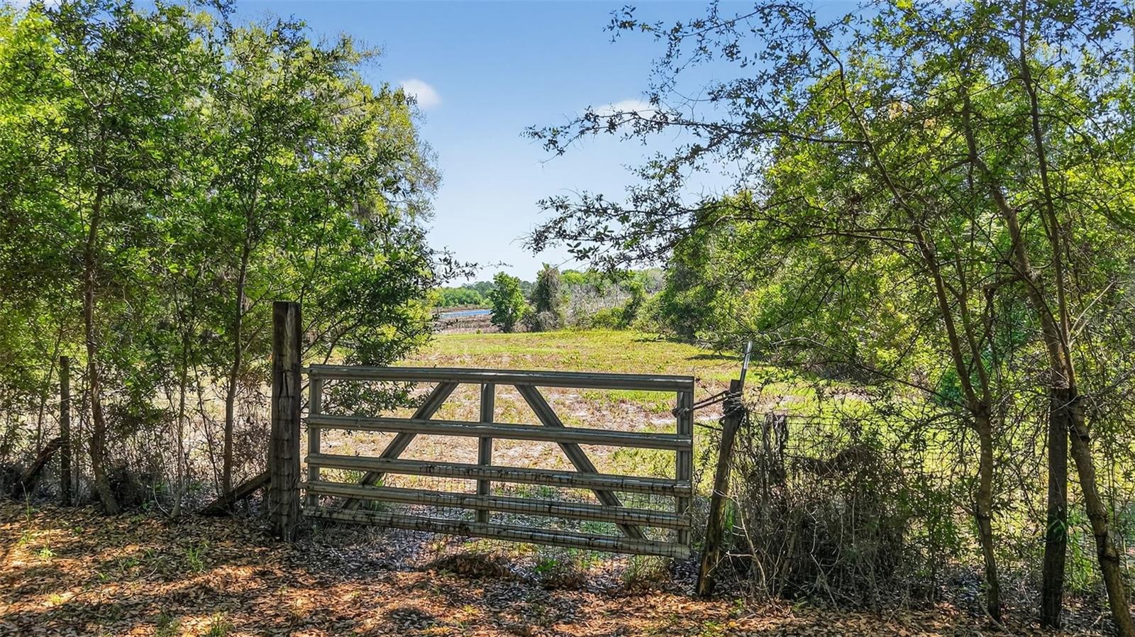 Image 13 of 55 For 32510 Whitney Road