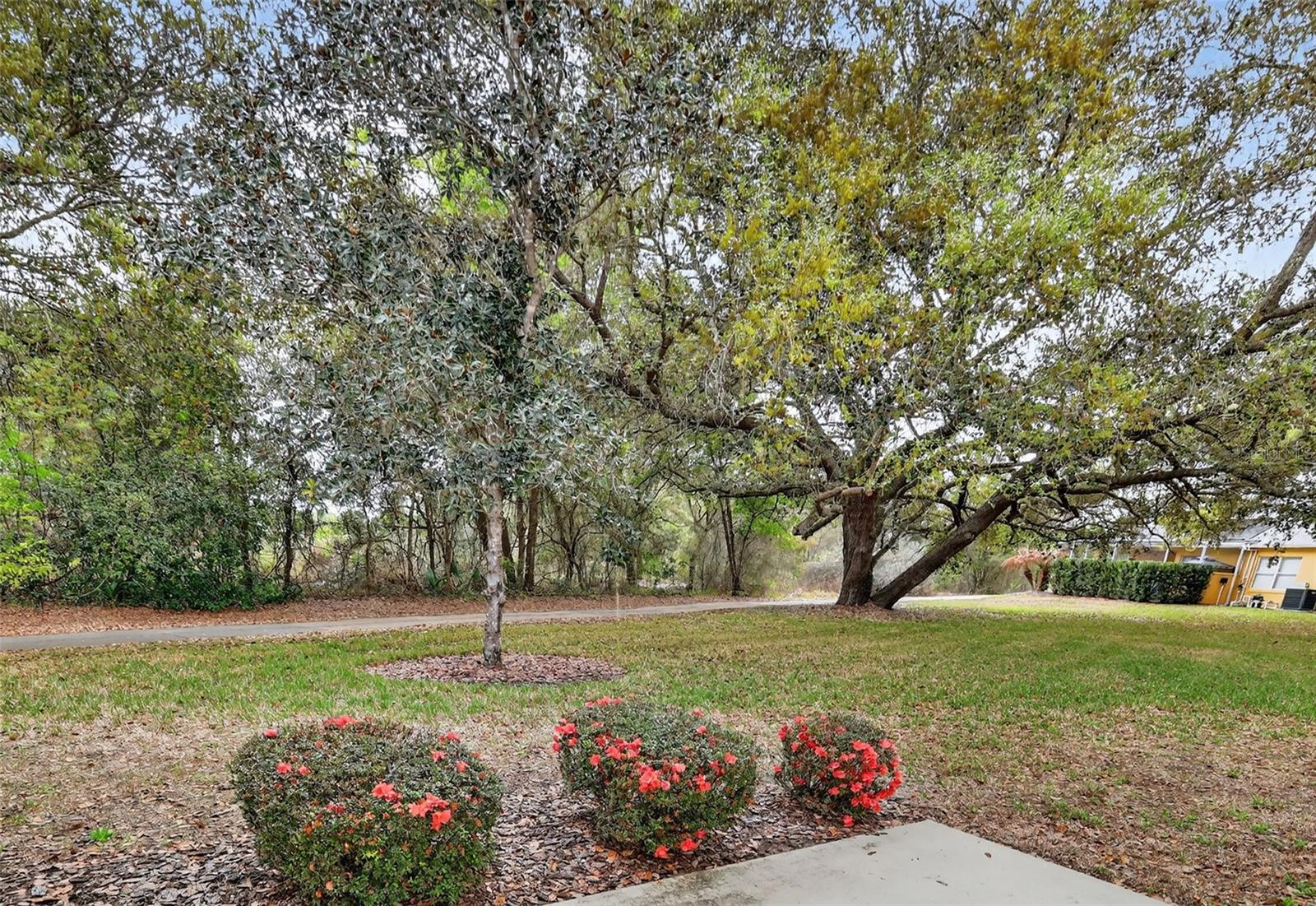 Image 30 of 37 For 4908 Cypress Head Court