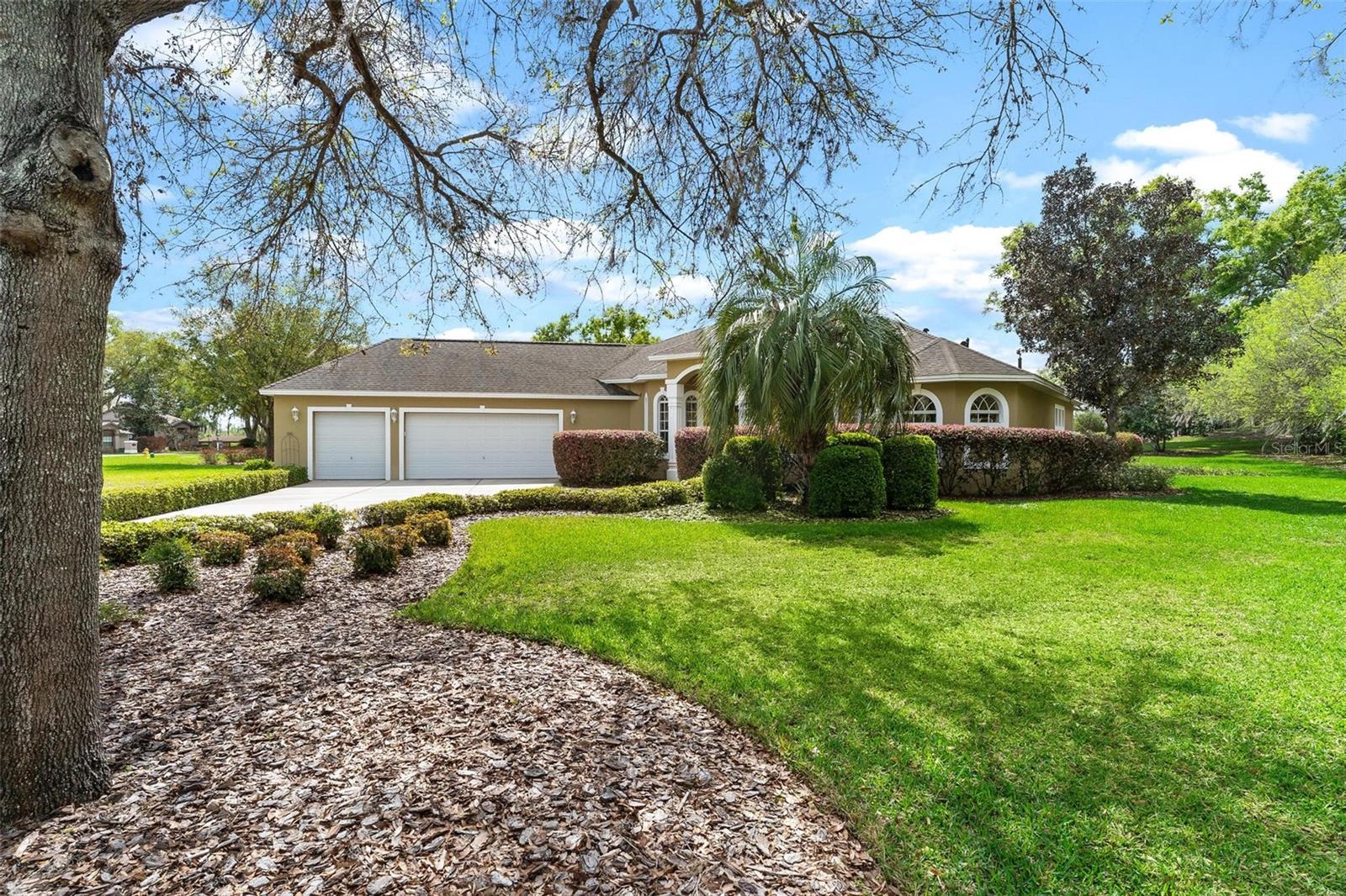 Image 2 of 54 For 6053 Spinnaker Loop