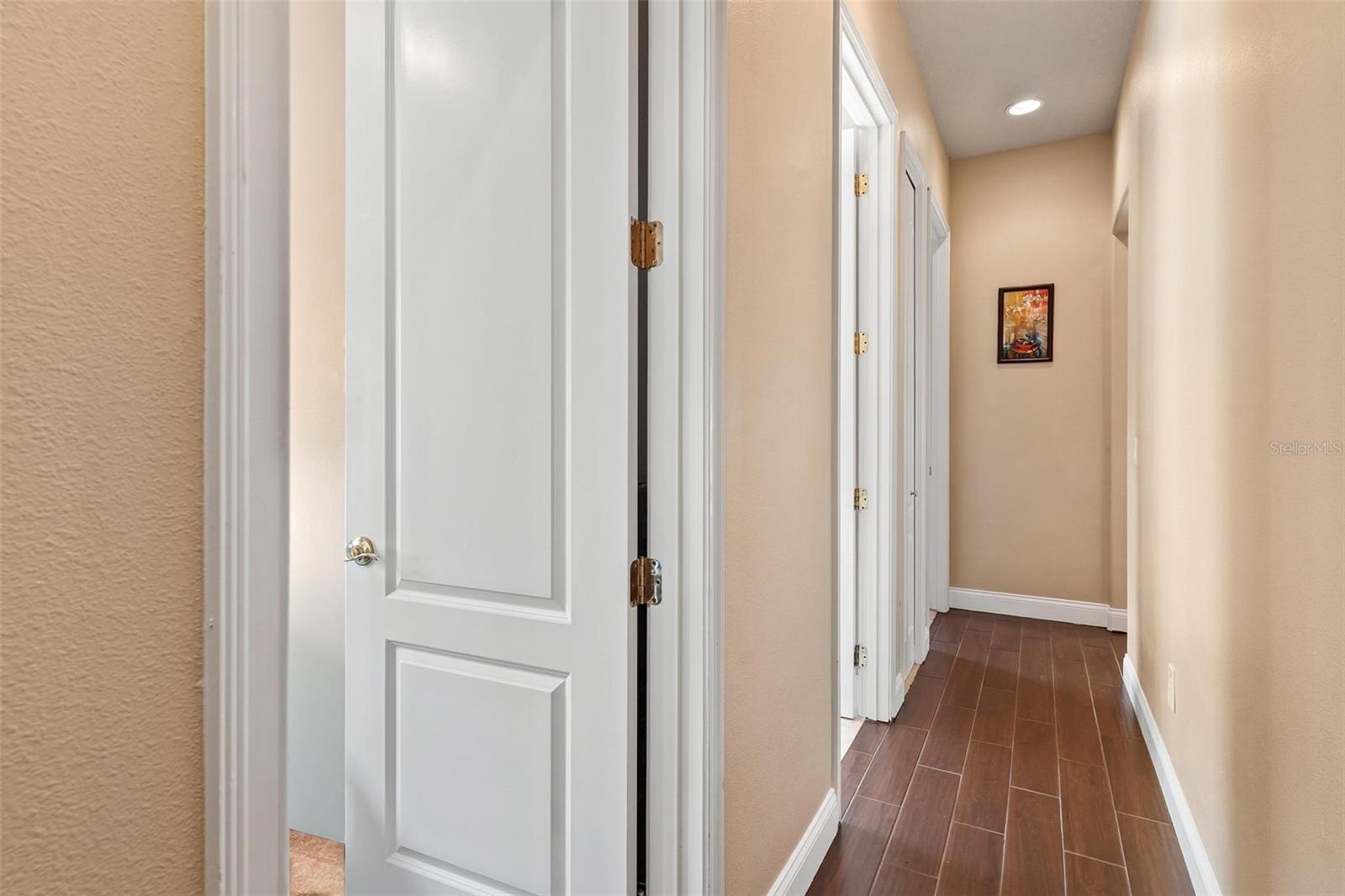 Image 35 of 54 For 6053 Spinnaker Loop