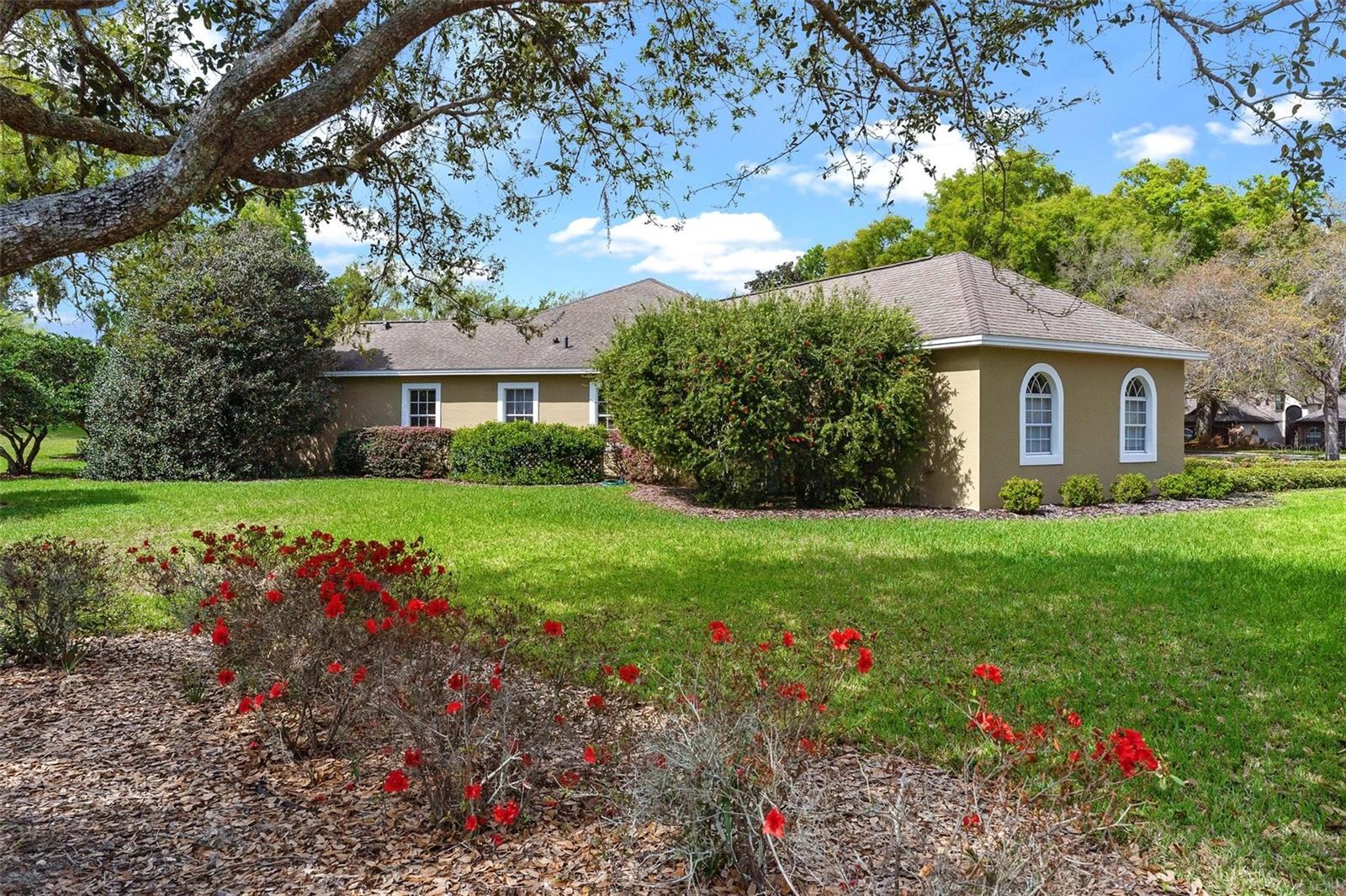 Image 47 of 54 For 6053 Spinnaker Loop