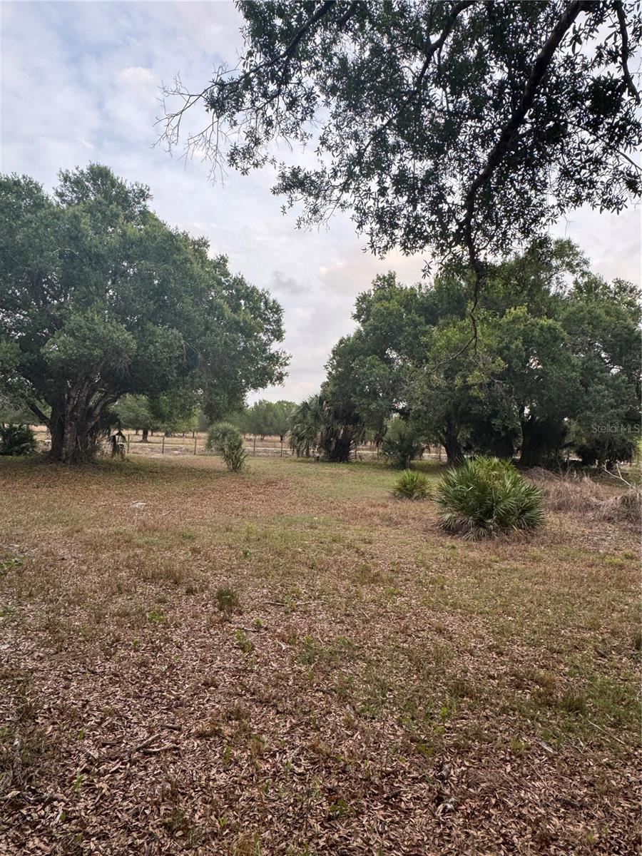 Image 3 of 19 For 10963 Shelfer Avenue