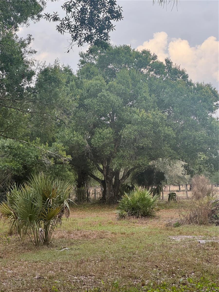 Image 6 of 19 For 10963 Shelfer Avenue