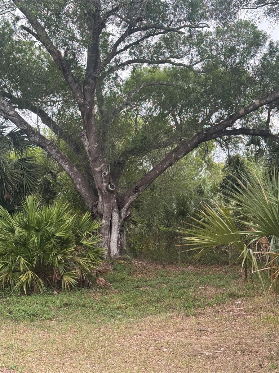 Image 7 of 19 For 10963 Shelfer Avenue