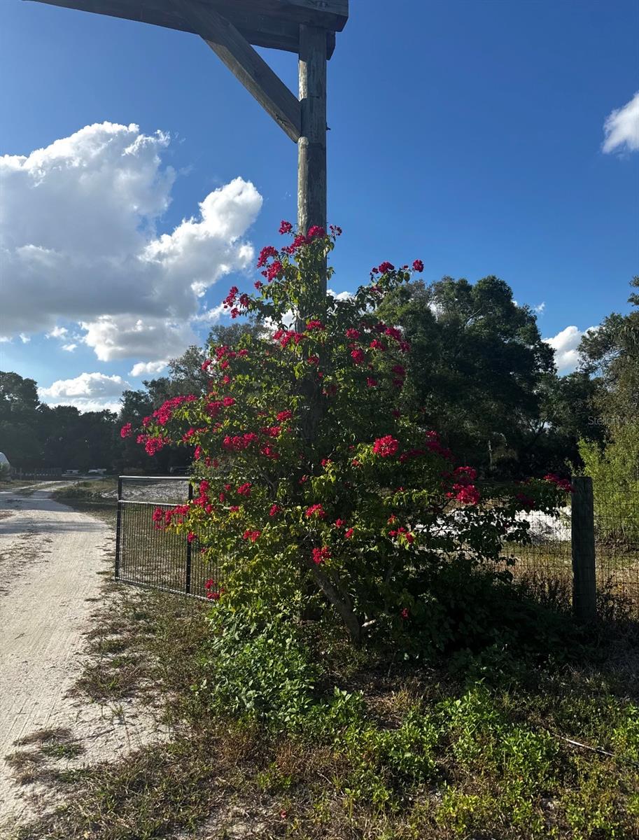 Image 9 of 19 For 10963 Shelfer Avenue