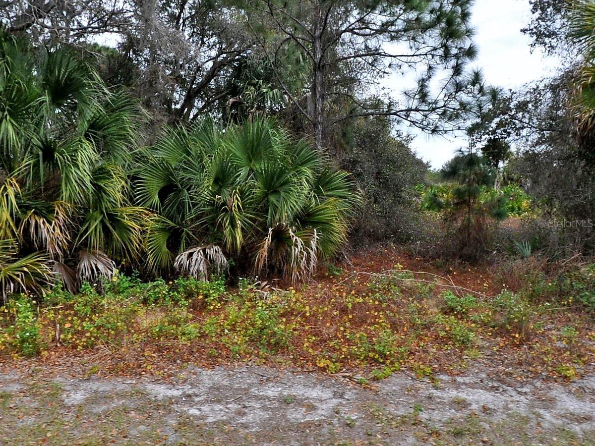 Image 2 of 4 For Florala Street