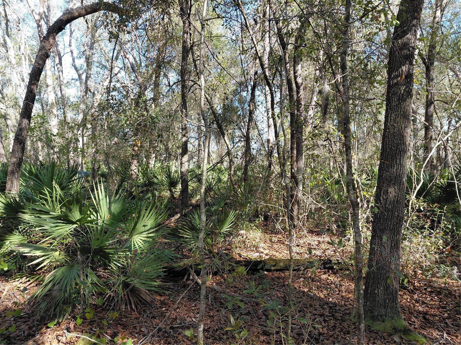 Image 14 of 14 For 36031 Butternut Drive