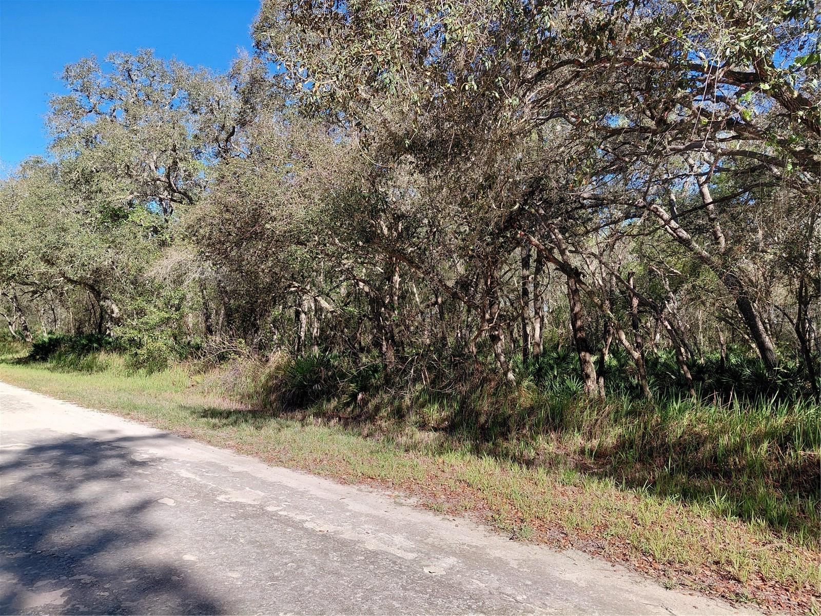 Image 2 of 14 For 36031 Butternut Drive