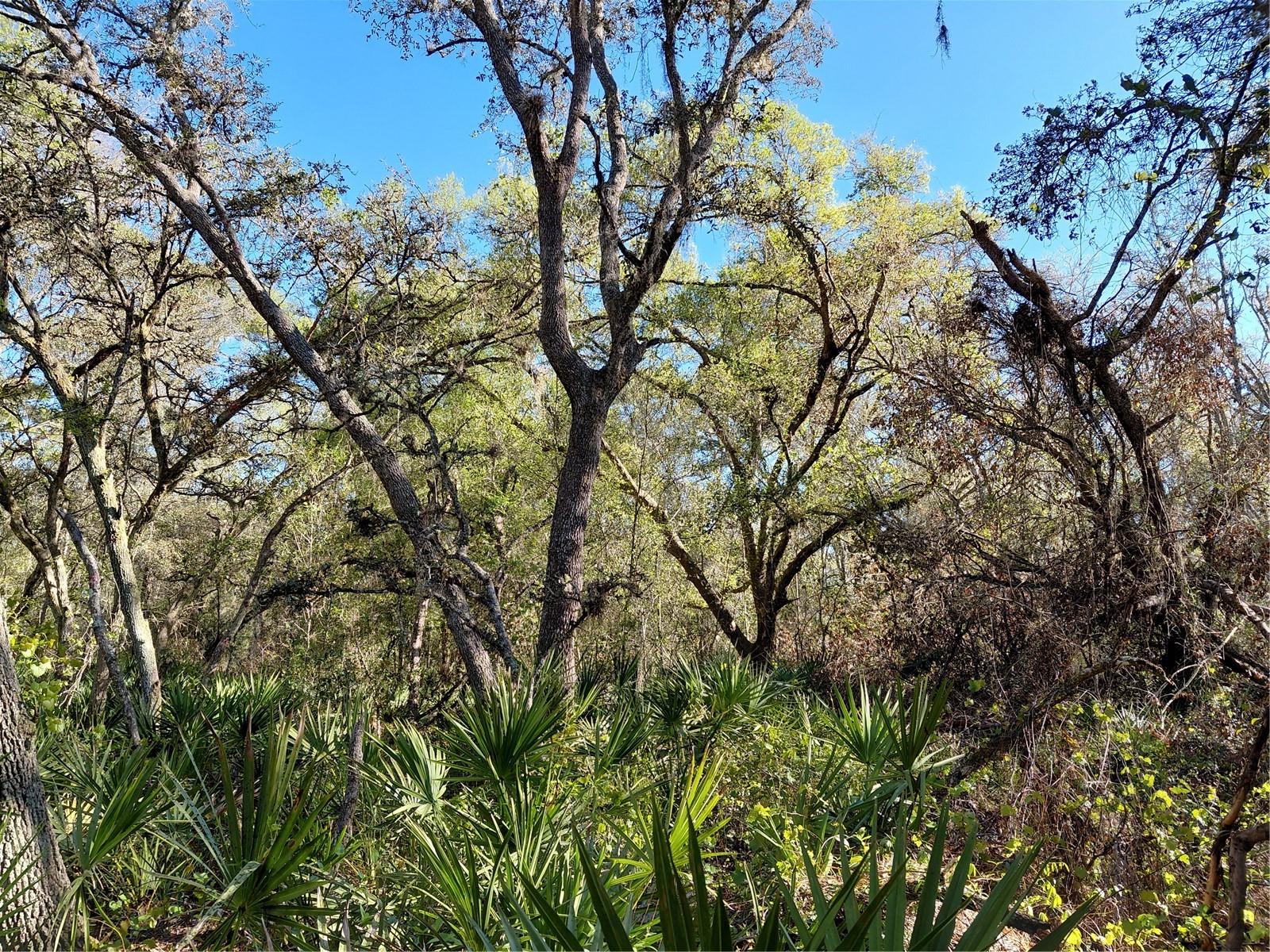 Image 4 of 14 For 36031 Butternut Drive