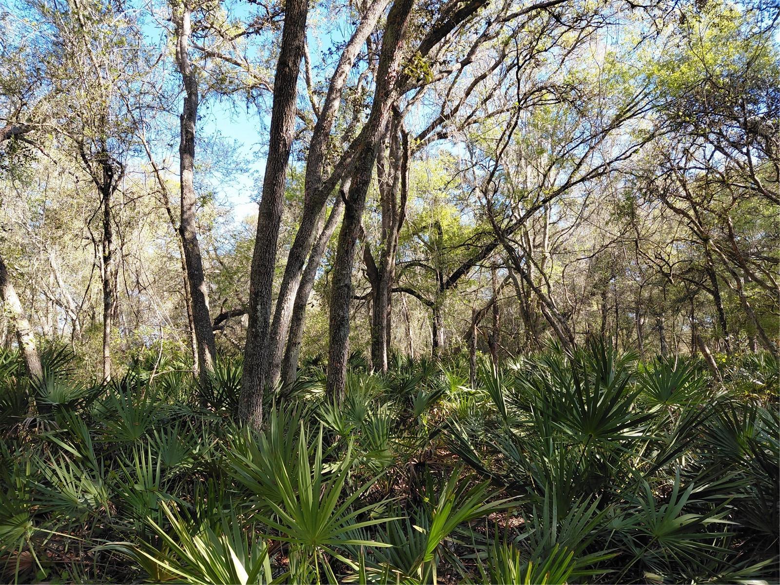 Image 7 of 14 For 36031 Butternut Drive