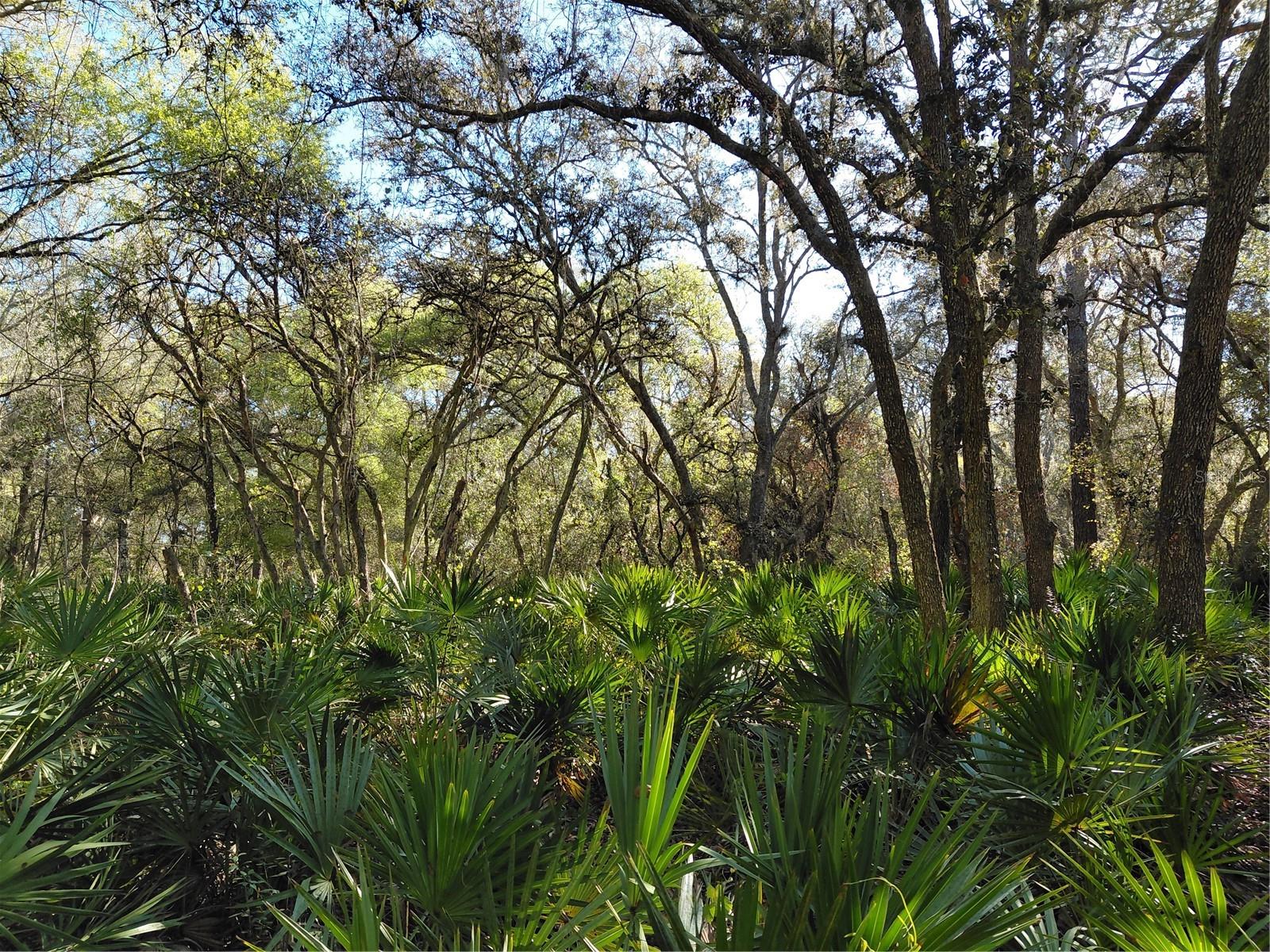 Image 8 of 14 For 36031 Butternut Drive
