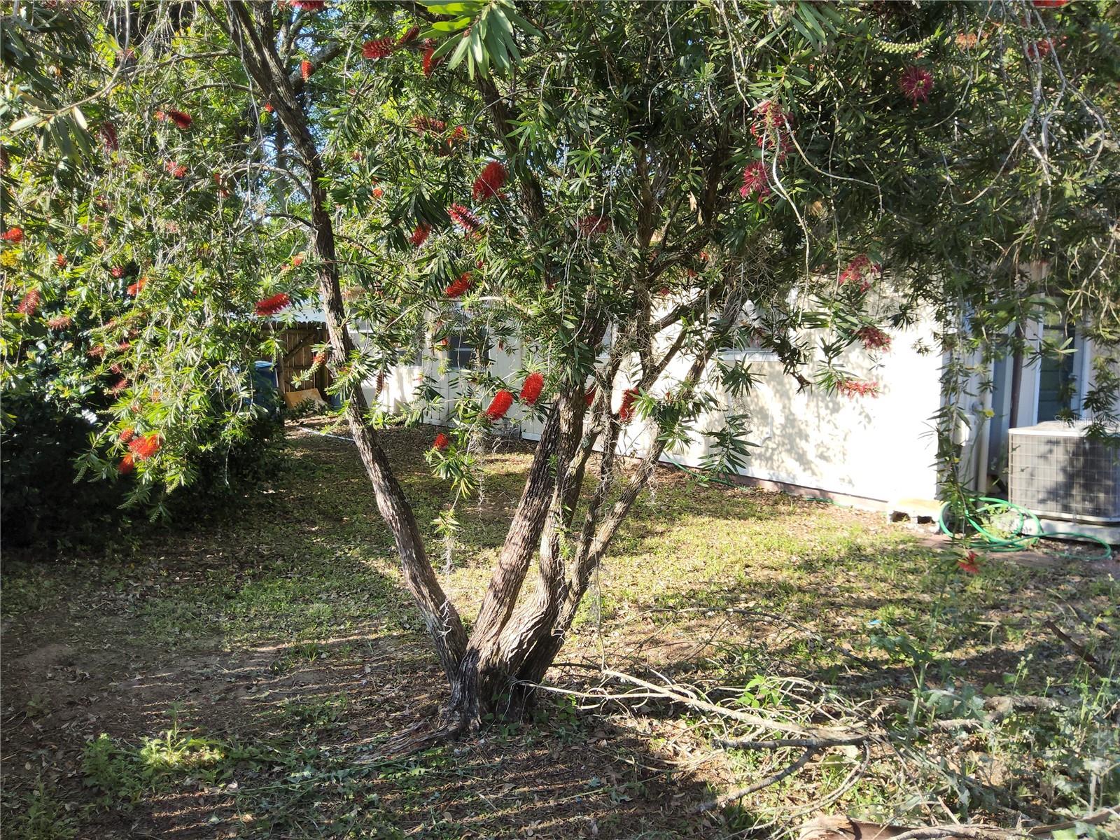 Image 12 of 54 For 31043 Willow Bank Avenue