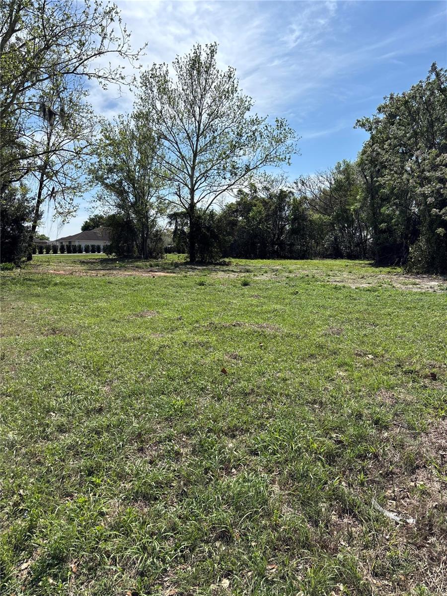 Details for State Road 19, GROVELAND, FL 34736
