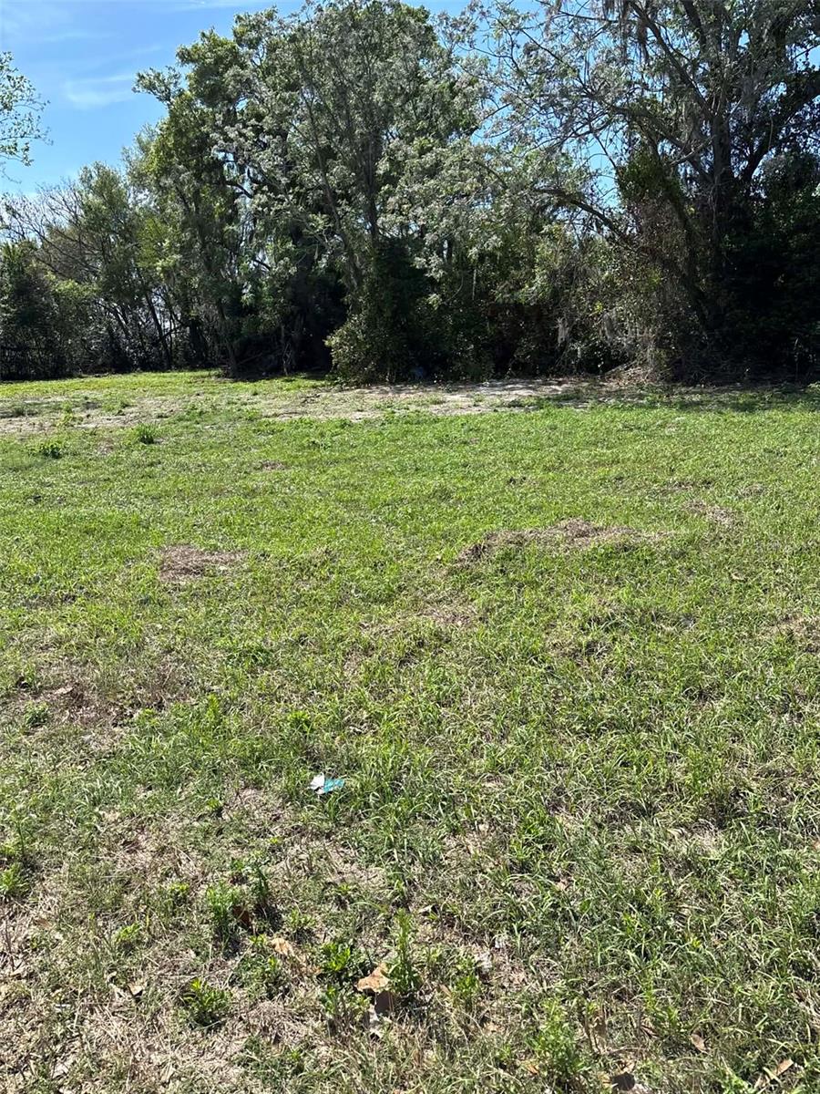 Image 6 of 8 For 15511 State Road 19