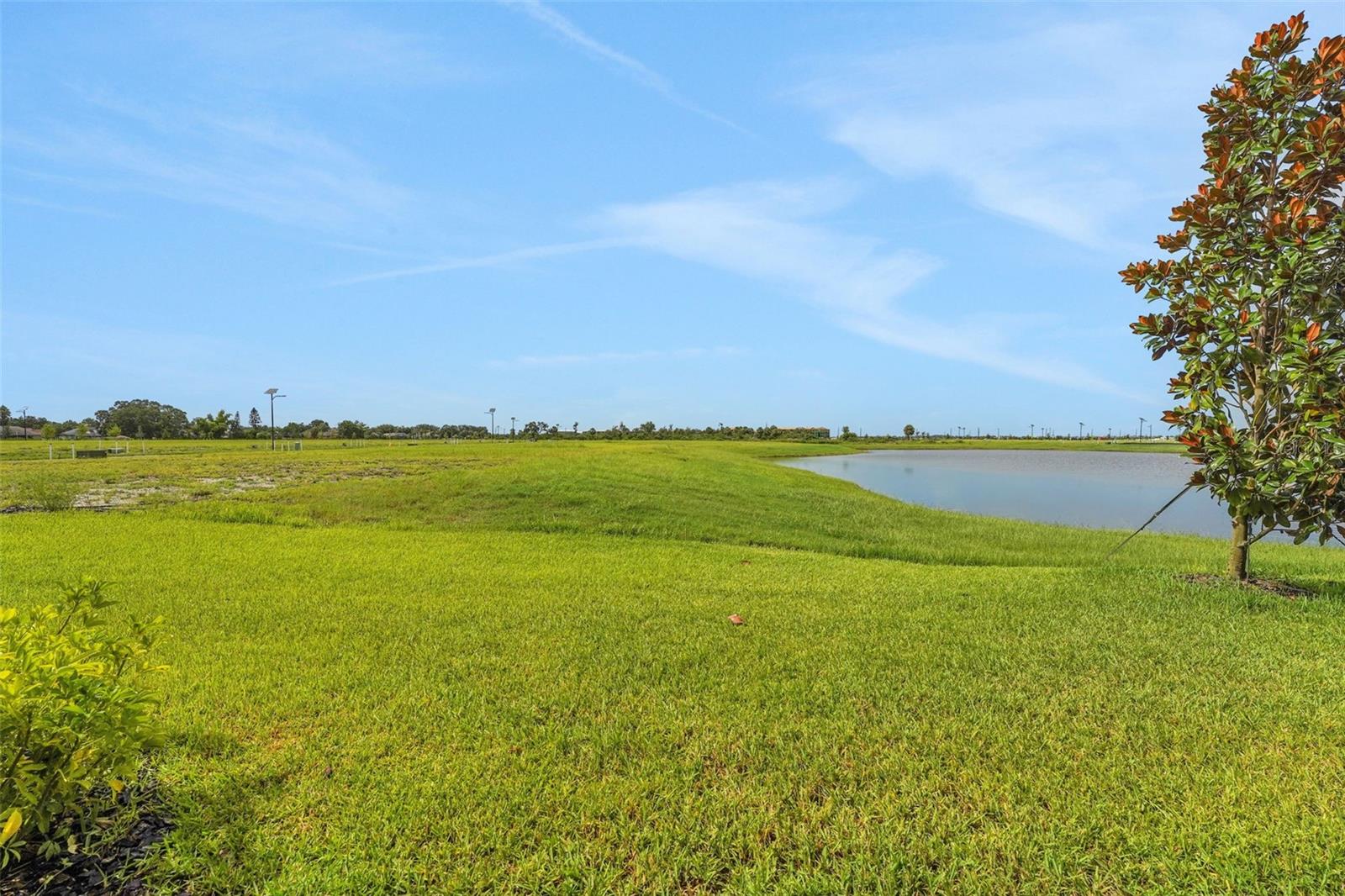 Image 45 of 49 For 7438 Sea Manatee Street