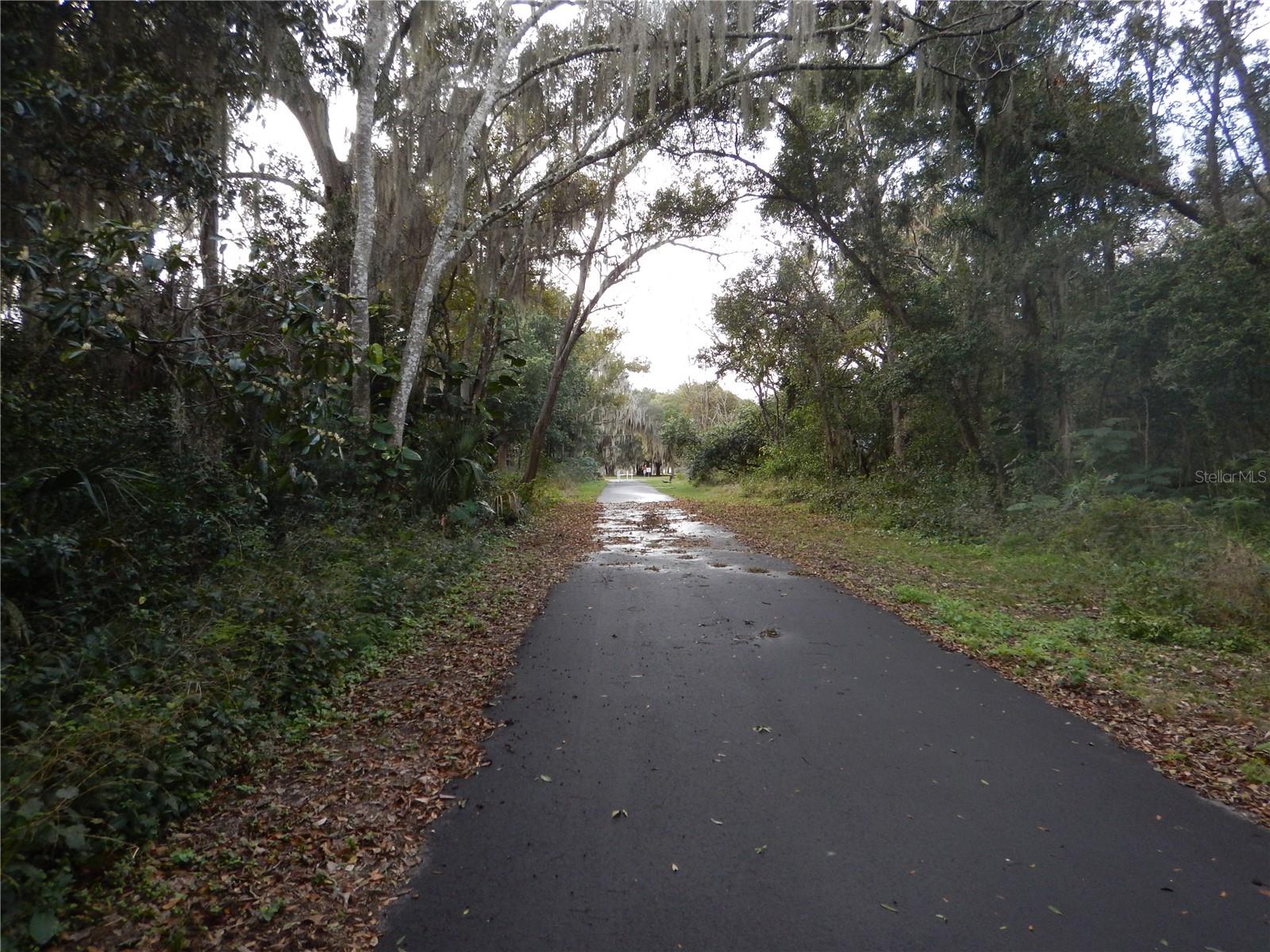 Image 18 of 19 For 17345 Porter Avenue A