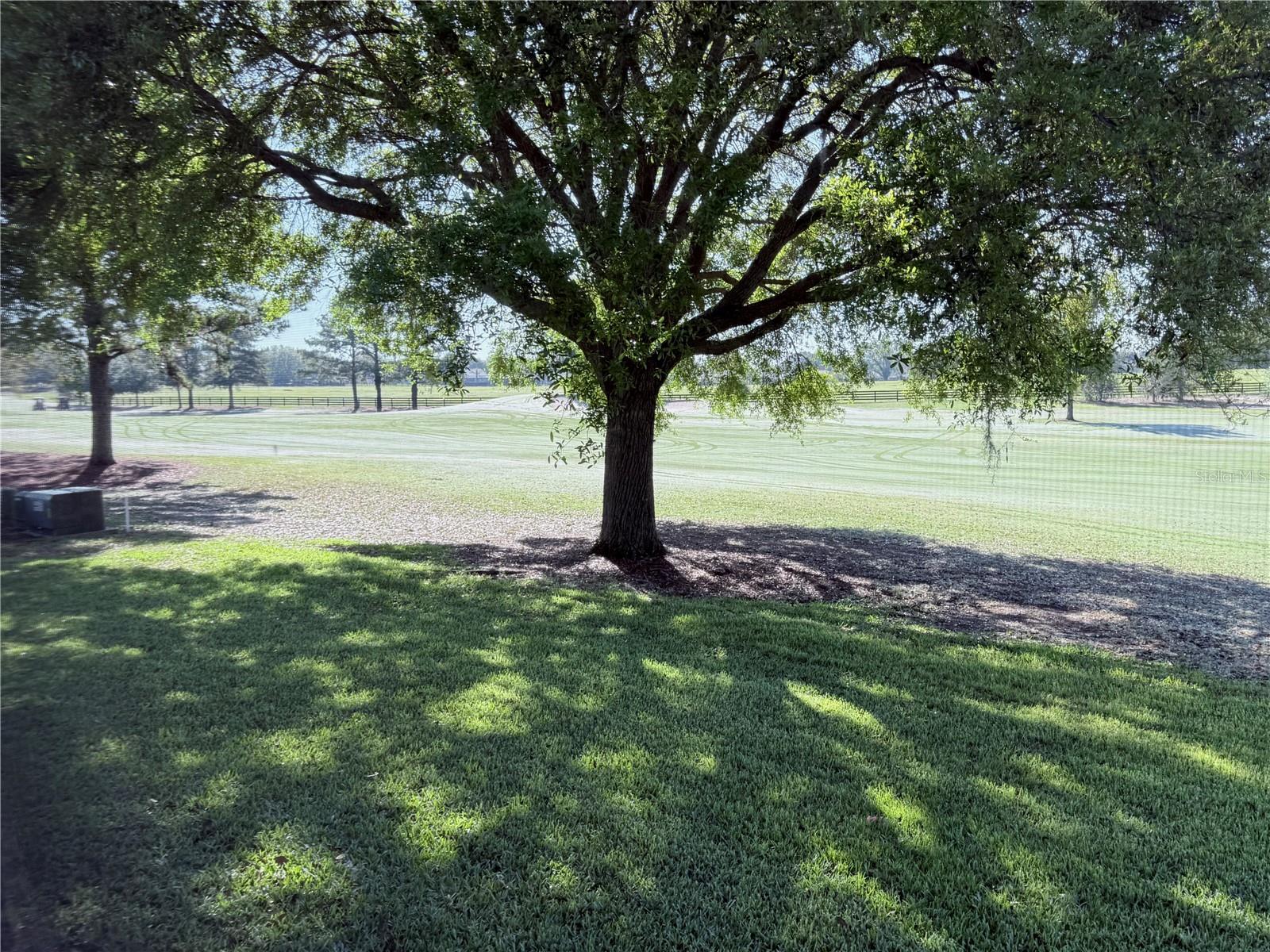 Listing photo id 1 for 16913 88th Trumbull Terrace