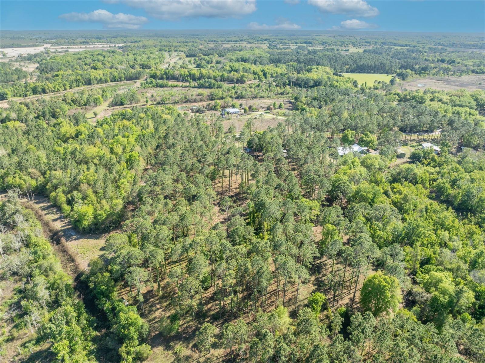 Image 12 of 14 For 9535 Number Two Road