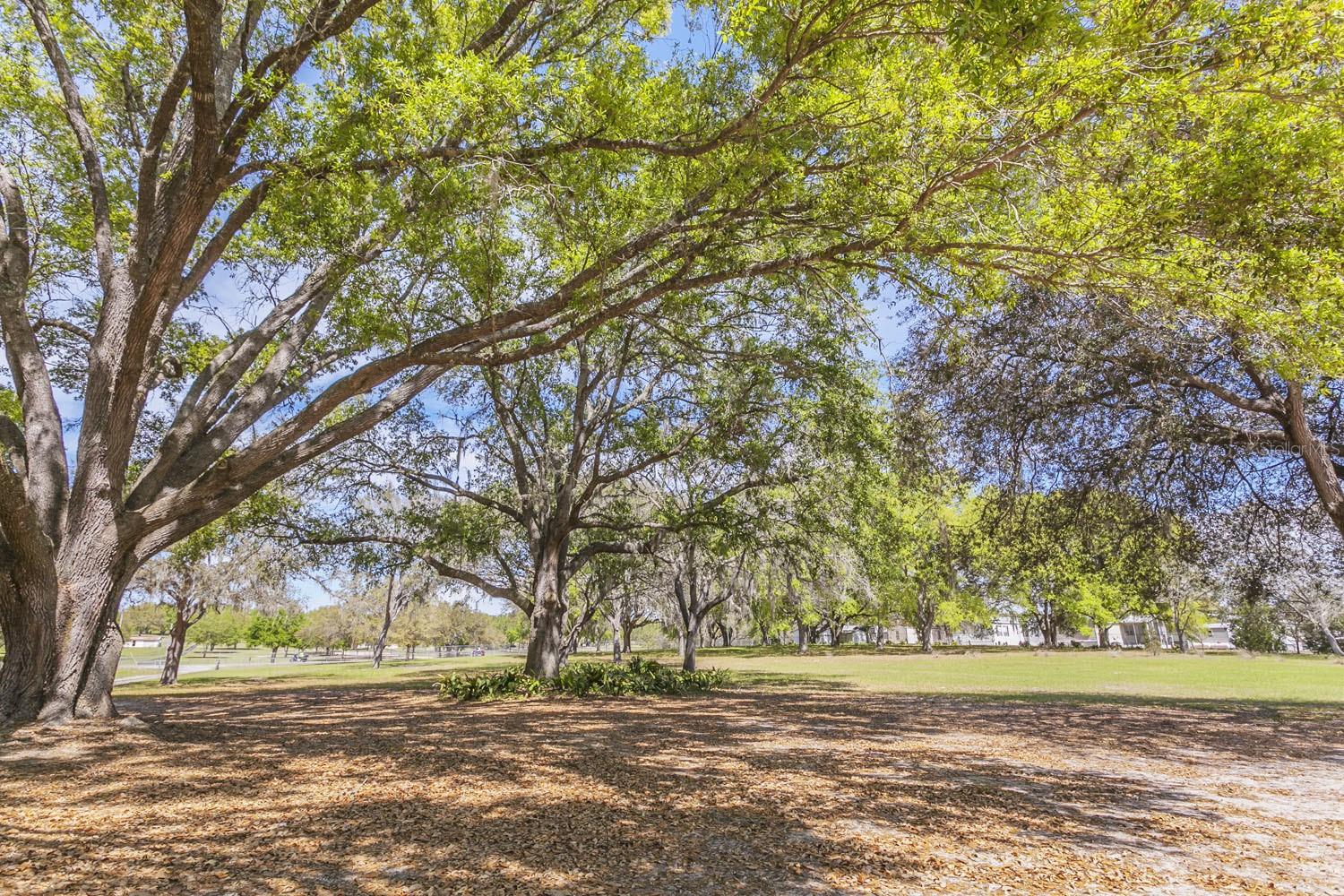 Image 14 of 16 For 1824 Marion County Road