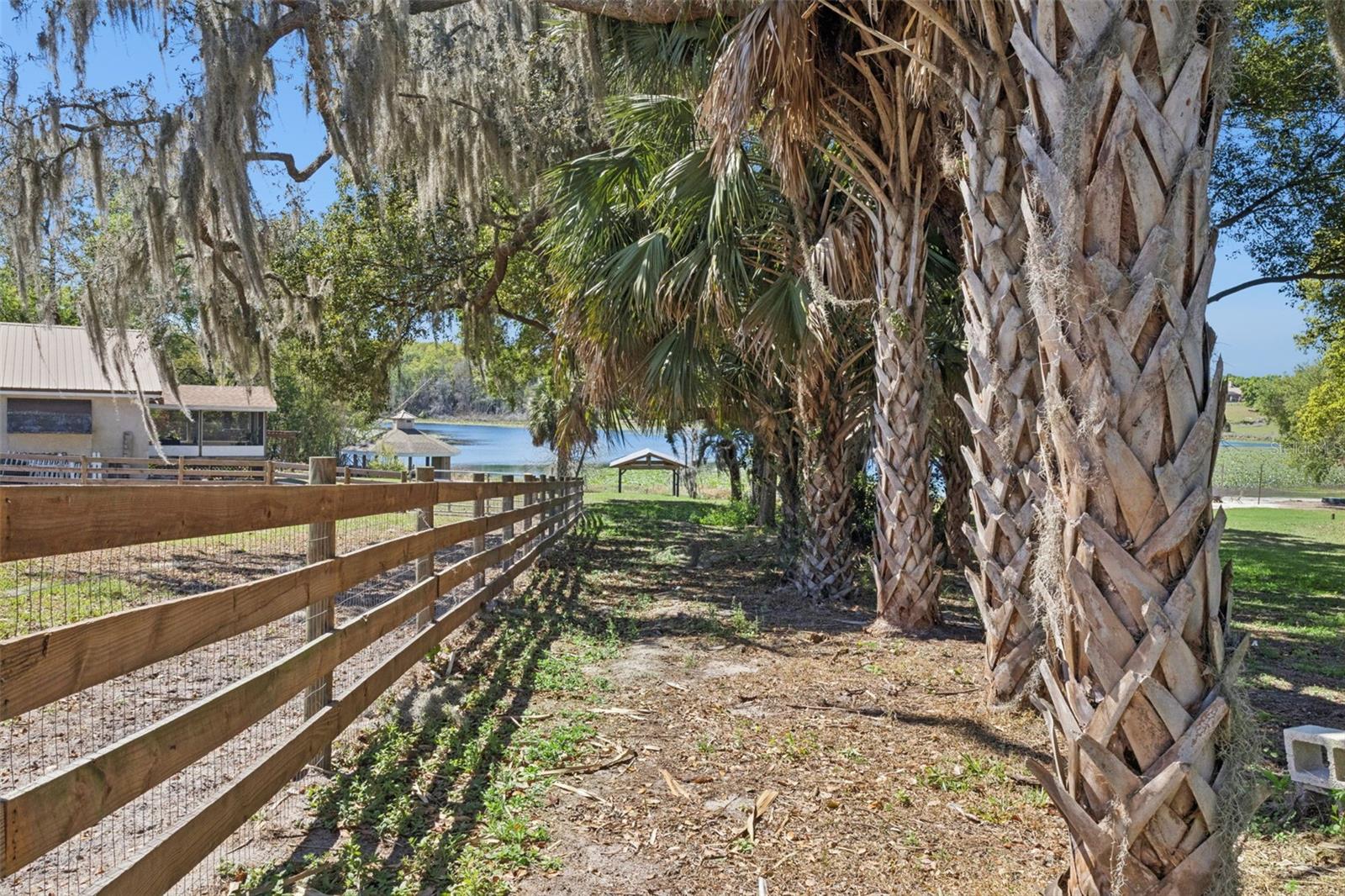 Image 35 of 49 For 504 County Road 468