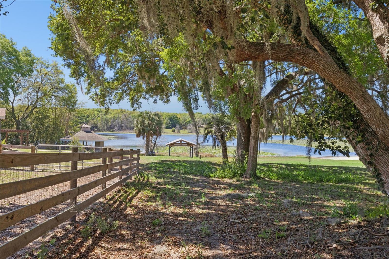 Image 36 of 49 For 504 County Road 468