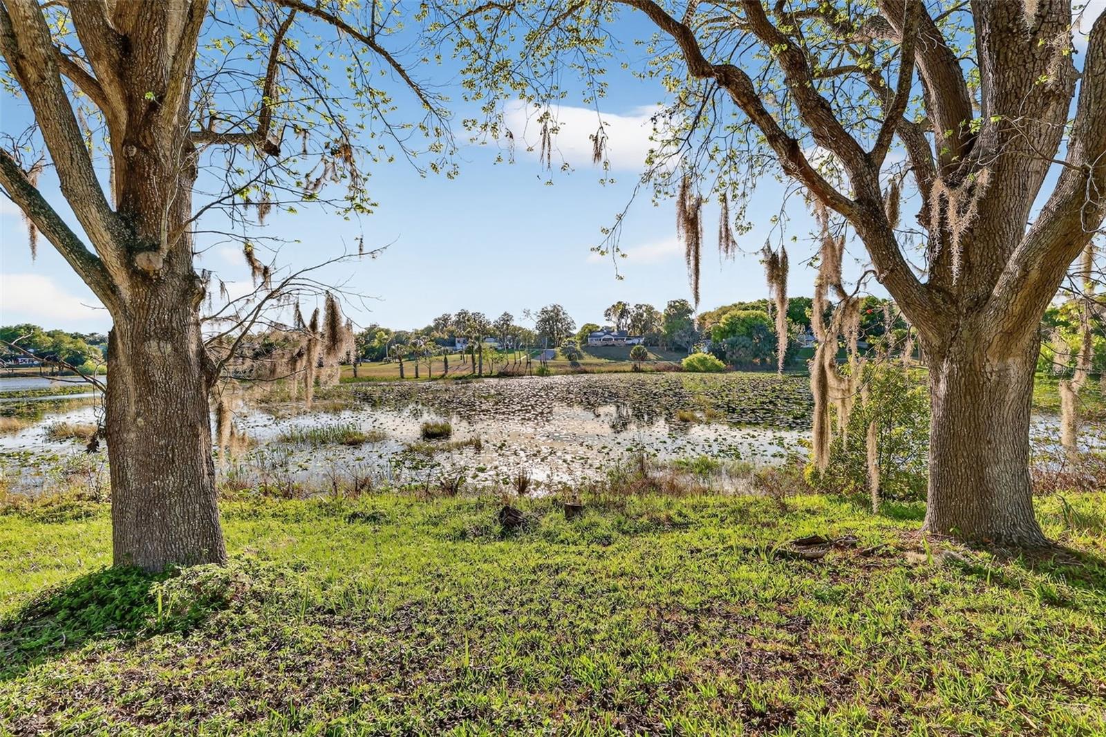 Image 6 of 42 For 1039 Lake Gracie Drive