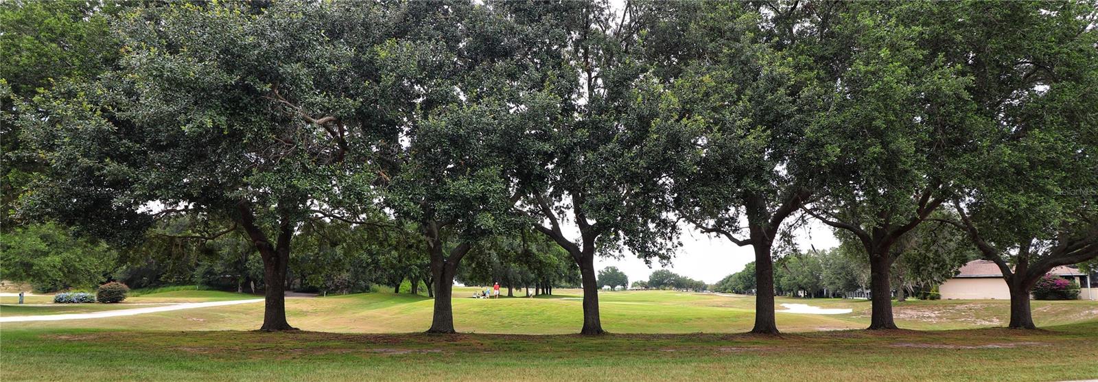 Image 2 of 47 For 21300 Royal St Georges Lane