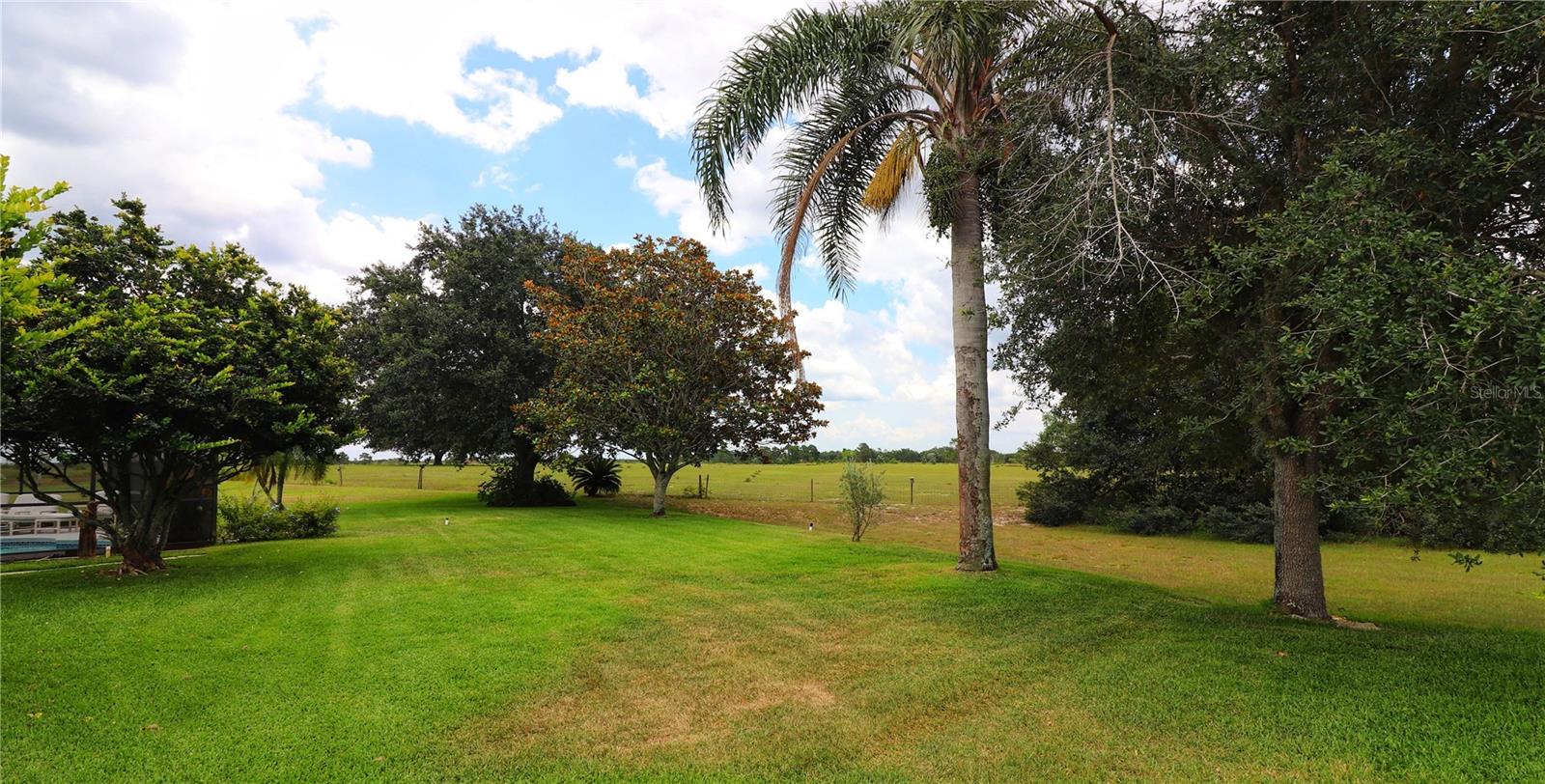 Image 24 of 47 For 21300 Royal St Georges Lane