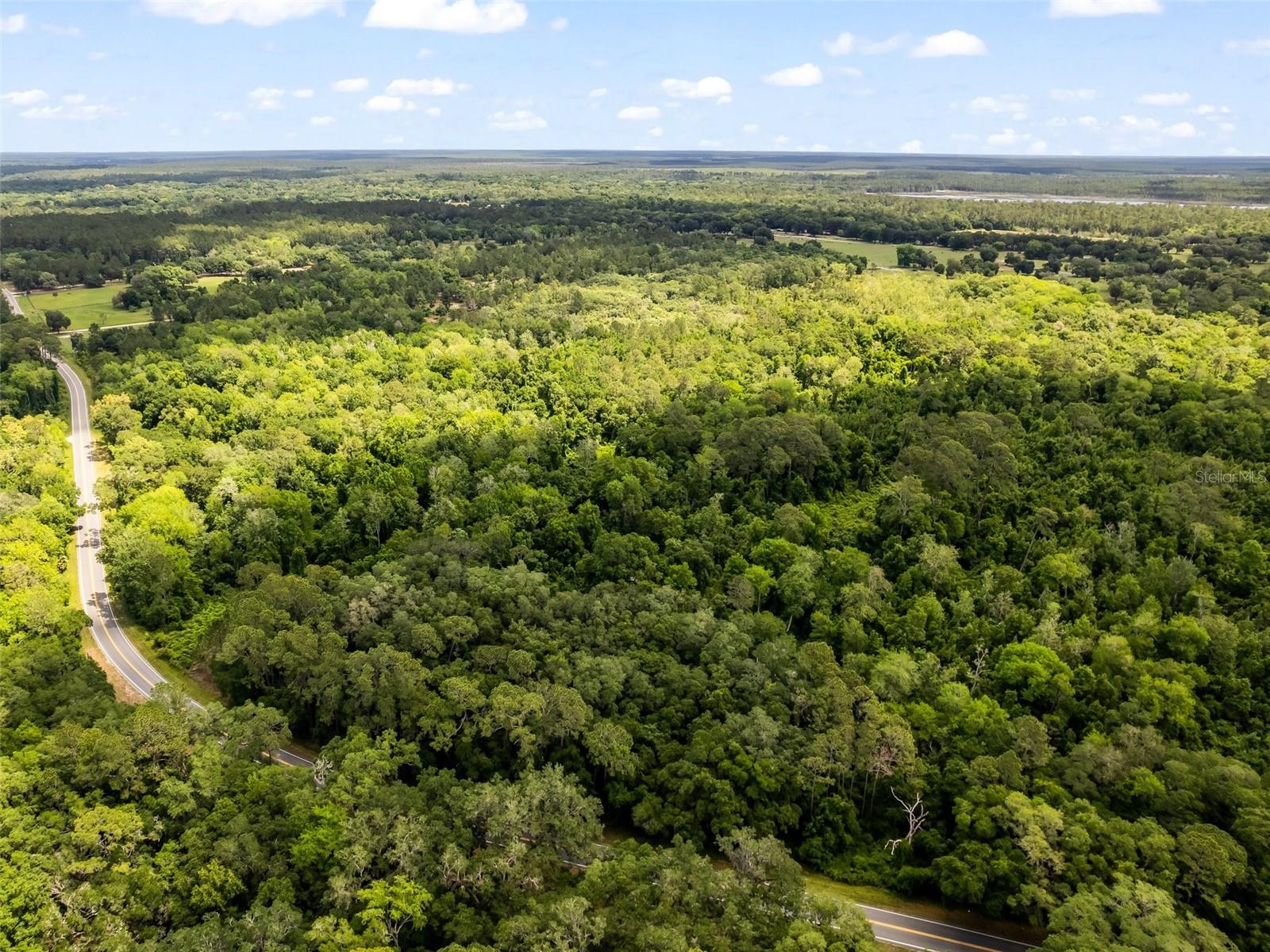Details for 0 182nd Avenue Se, OCKLAWAHA, FL 32179