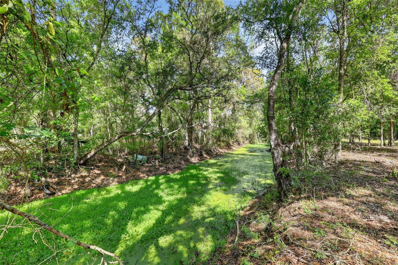 Image 21 of 24 For 4152 C 575  