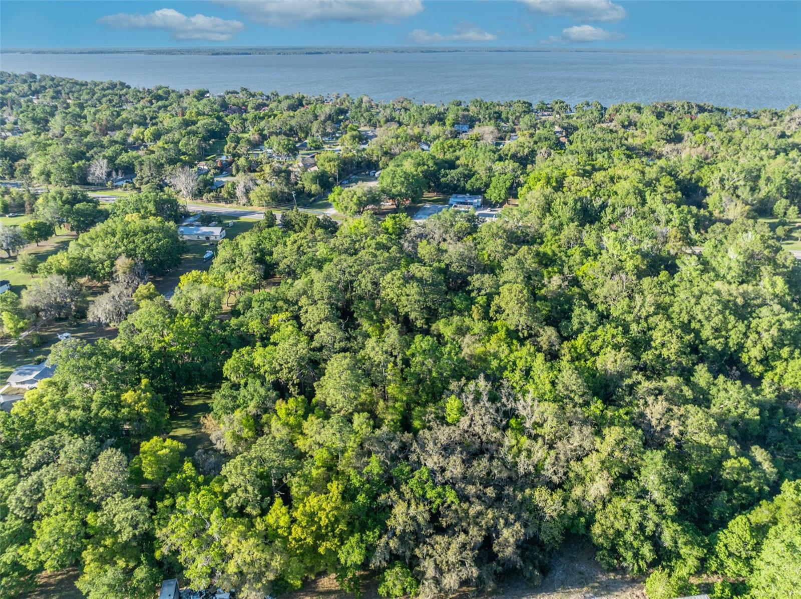 Image 10 of 10 For Tbd County Road 48