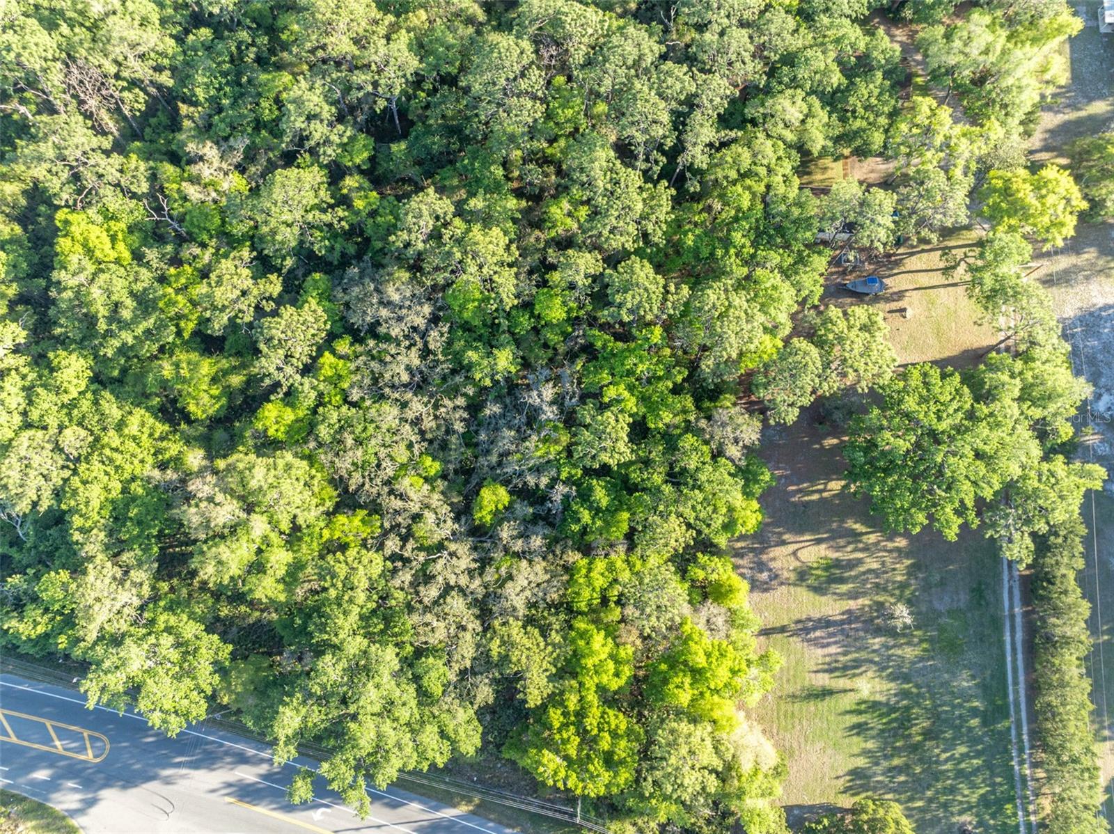 Image 4 of 10 For Tbd County Road 48