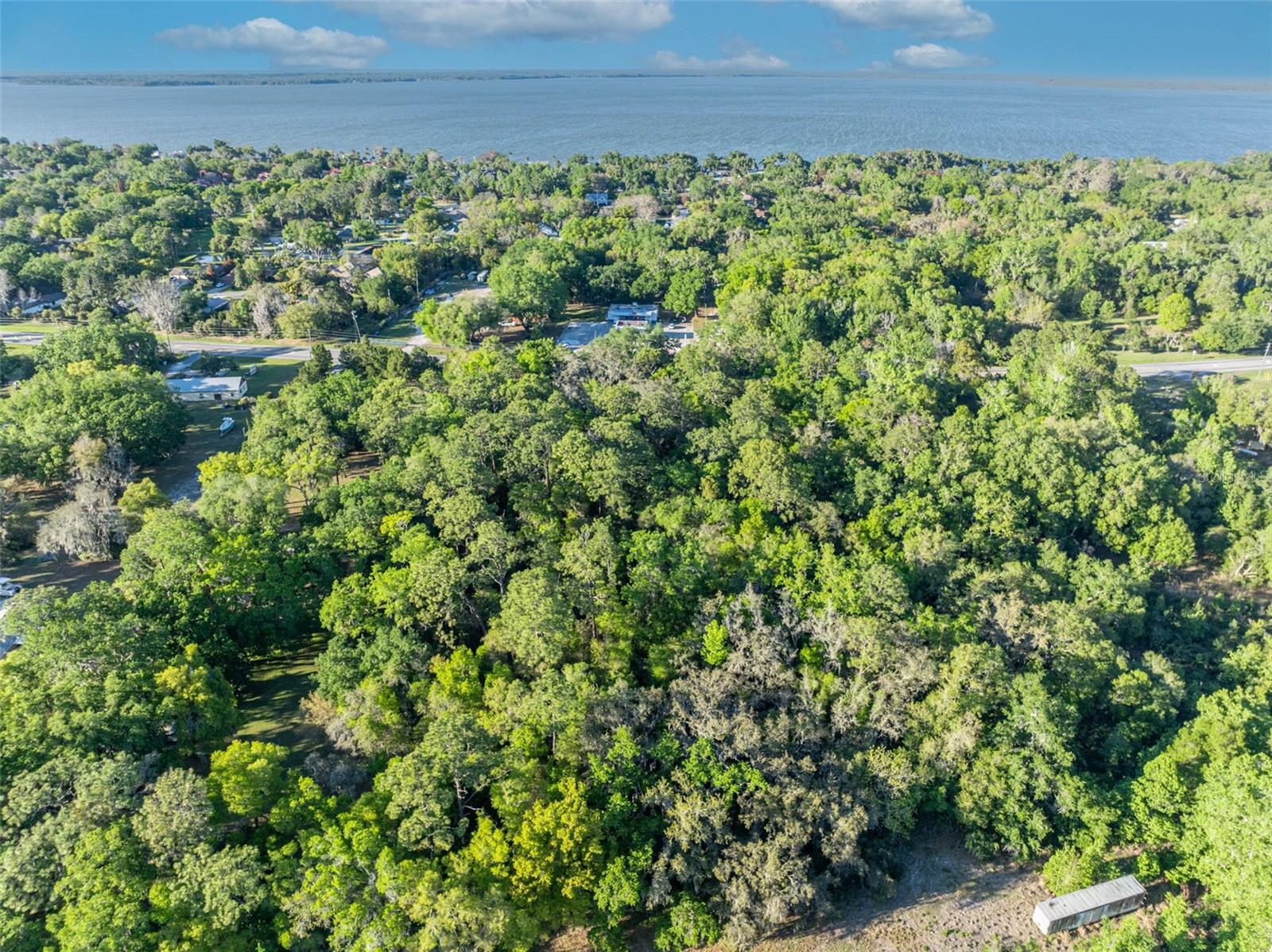 Image 9 of 10 For Tbd County Road 48