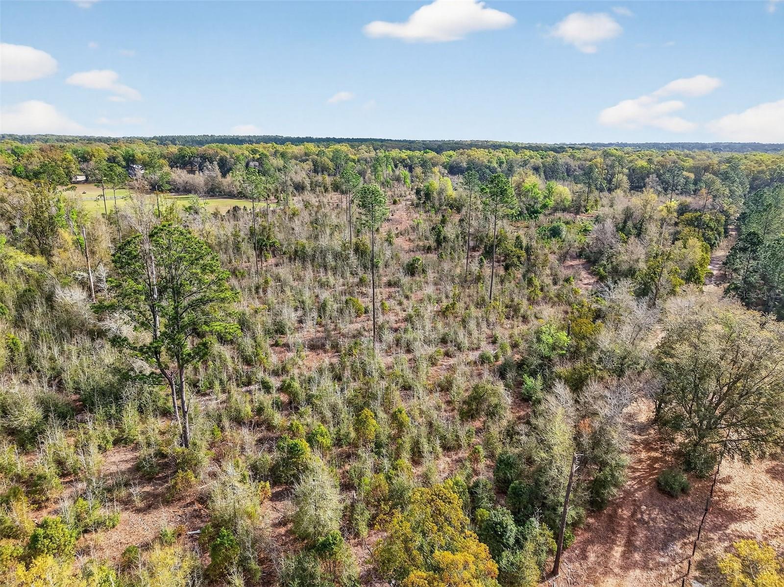 Image 16 of 20 For Island Pond Lane