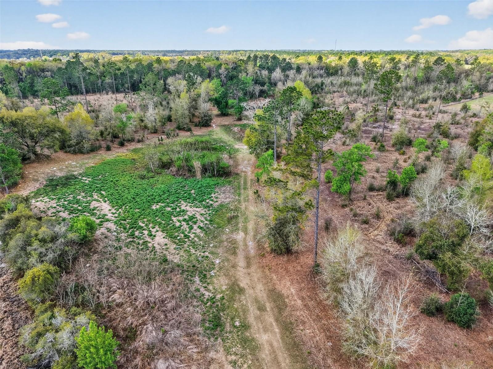 Image 18 of 20 For Island Pond Lane