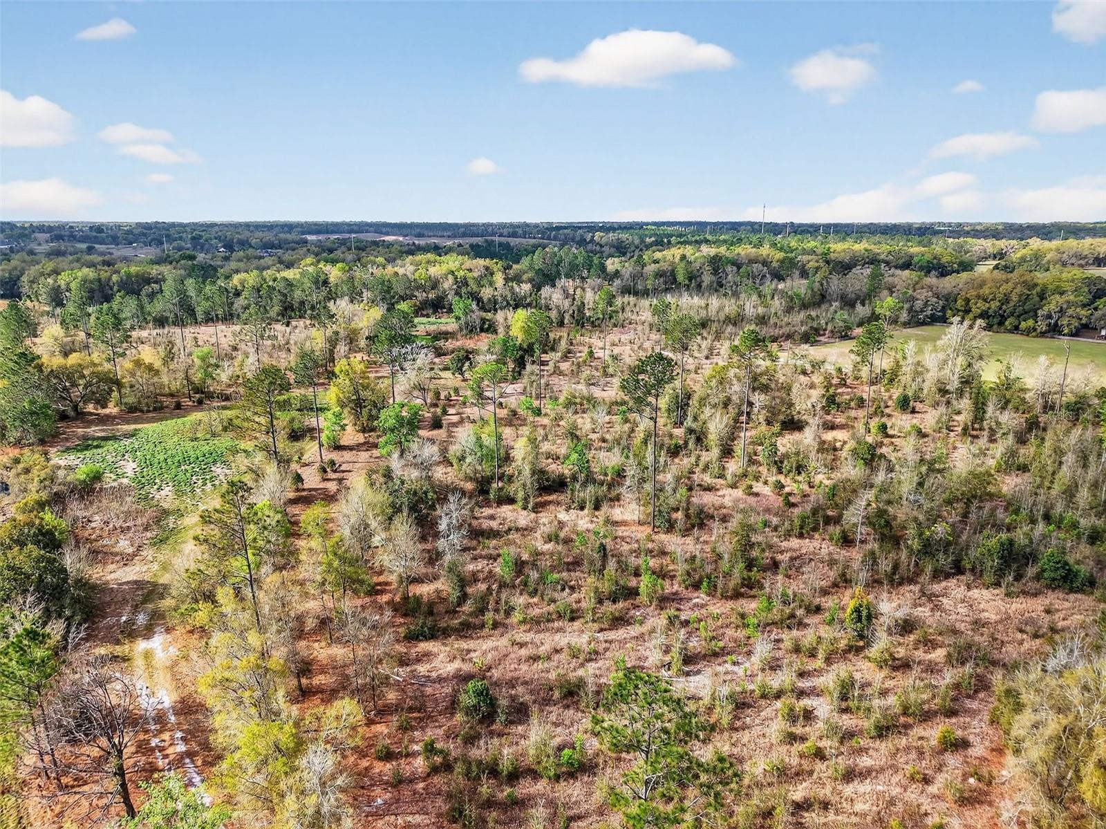 Image 20 of 20 For Island Pond Lane