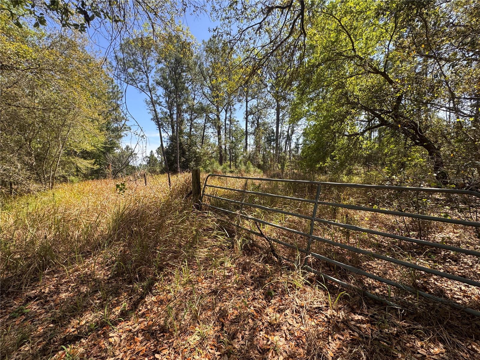 Image 7 of 7 For Coffee Creek Lane